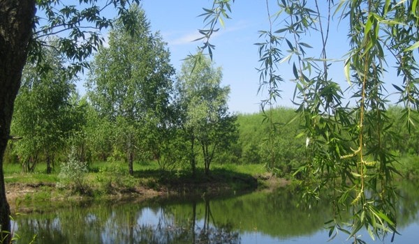 На особо охраняемых территориях пройдет месячник по благоустройству