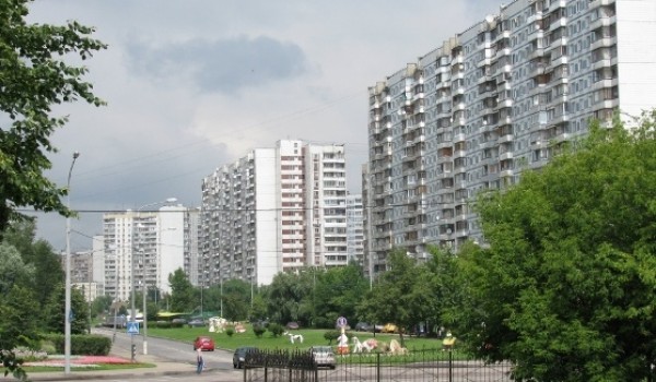 В 2012 году в СВАО было проведено благоустройство 19 зеленых территорий общей площадью более 200 га