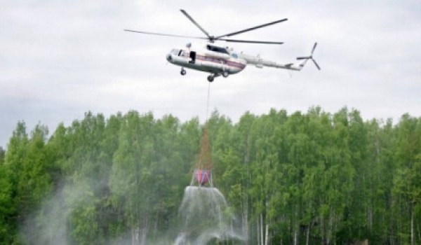 Власти Москвы полностью готовы к борьбе с природными пожарами