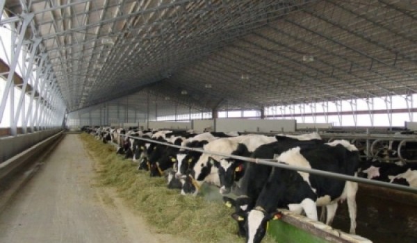 Московские власти передали «Мосмедыньагропром» в собственность Калужской области