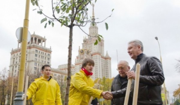 В Москве запланирована масштабная посадка саженцев