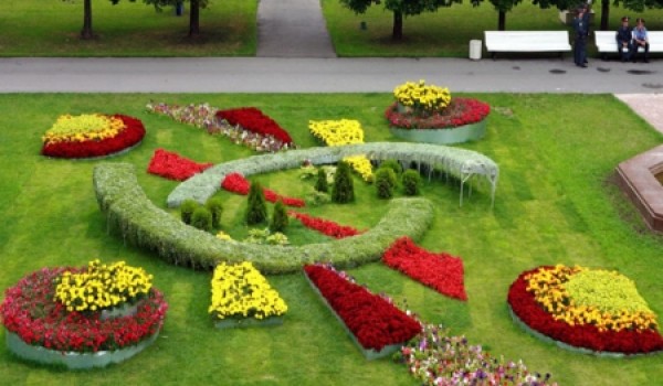 Четыре участка в ЮВАО будут озеленять, а не застраивать