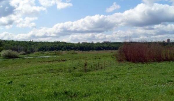 К  2013 году в Братеевской пойме будет полноценная зеленая зона для прогулок и отдыха