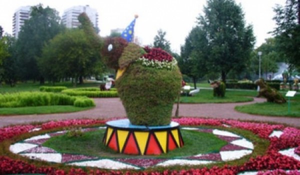 Московские власти создадут на столичных улицах розарии