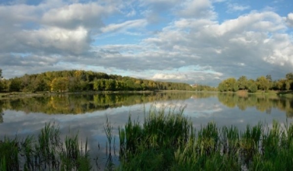 Ремонт прудов в парке «Кусково» завершится в 2013г.