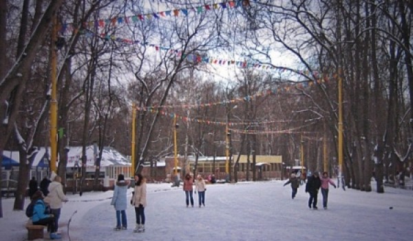 В ноябре в парке «Сокольники» откроется самый большой каток в Москве и уникальная по длине и ширине горка