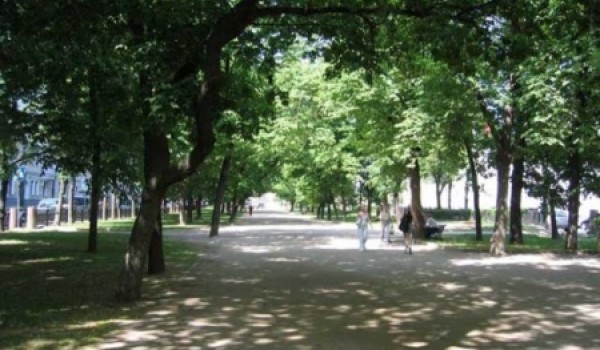 В Москве самостоятельную посадку деревьев необходимо предварительно согласовывать с властями