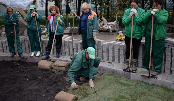 В конце сентября в Москве стартует масштабная кампания по озеленению городских дворов