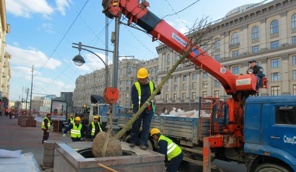 В мае 2013 года в городе стартовал эксперимент по озеленению Тверской улицы