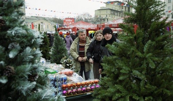В Москве открылось 250 елочных базаров