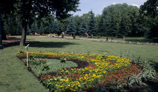 На территории Новой Москвы может быть создано более 100 парковых зон