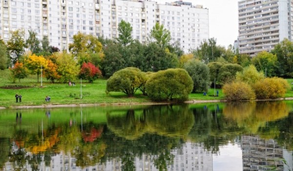 В Москве весной посадят 123 тысячи деревьев