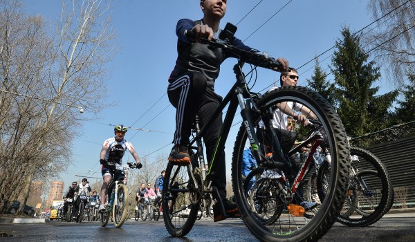 За два года продажи велосипедов в столице возросли в полтора раза 