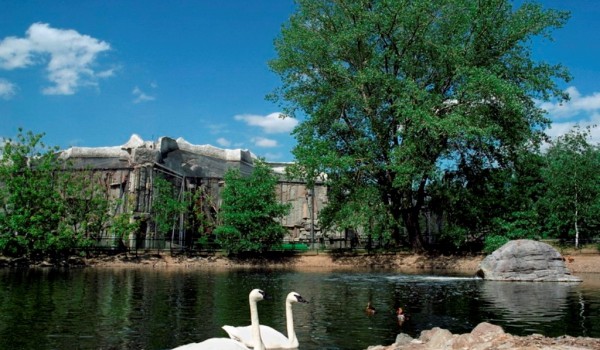 В Московском зоопарке открывается сезон показательных кормлений животных