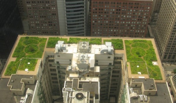 Городские власти при возведении объектов недвижимости отдадут приоритет «зеленым стандартам»