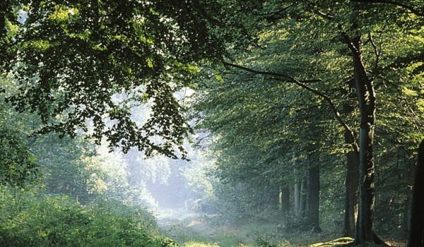 На Никольской улице открылась выставка, приуроченная к 85-летию Московской области