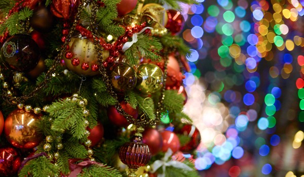 К 15 декабря в парках города появятся новогодние ели и праздничное освещение