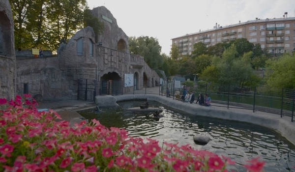 До конца 2015 года полностью завершится благоустройство Московского зоопарка 