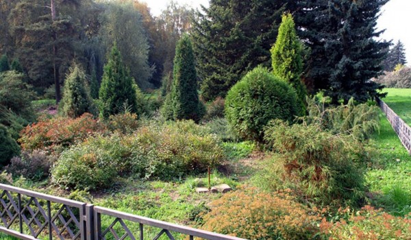 В 2015 году власти столицы выделили 110 млн руб. на благоустройство Главного ботанического сада