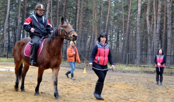 На территории «новой» Москвы может появиться конный парк