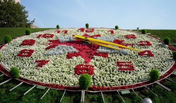 В столице могут ввести штрафы до 100 тысяч рублей за нарушение порядка цветочного оформления