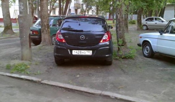 ЦОДД рекомендует водителям не ставить автомобили около деревьев из-за сильного ветра