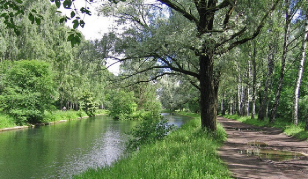 На капитальный ремонт прудов в парке Дружбы может быть затрачено до 600 млн рублей