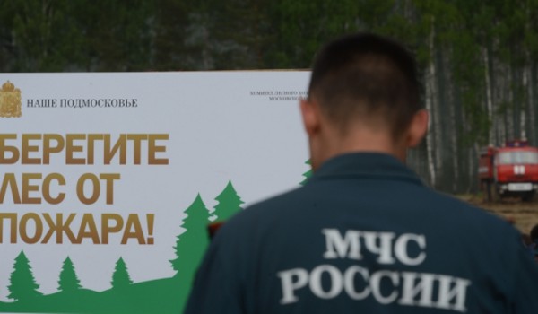 ГУ МЧС проводят рейды в лесопарковых зонах Москвы для предотвращения пожаров