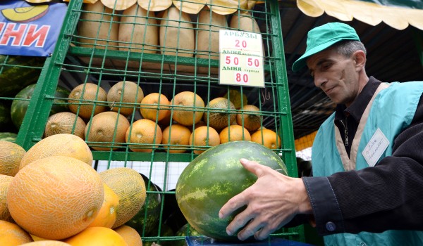 На портале открытых данных опубликована карта официальных бахчевых развалов столицы