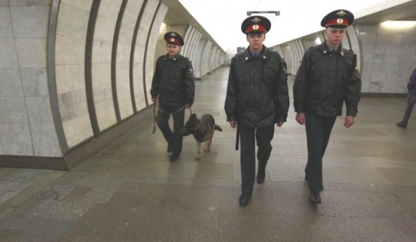 За I полугодие 2015 года кинологи проверили более 40 тысяч единиц багажа в Московском метро