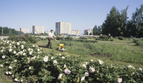 В каждом московском районе начали работать "главные" садовники