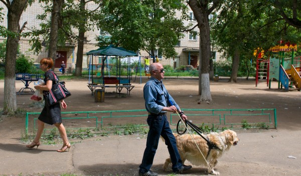 На территории Джамгаровского пруда появится зона отдыха с площадкой для собак 