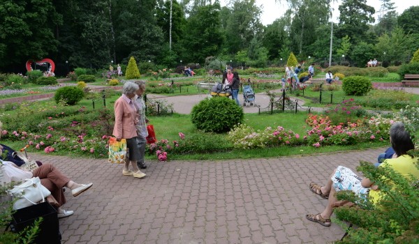 На благоустройство розариев в парке «Сокольники» планируется потратить до 5,5 млн. рублей