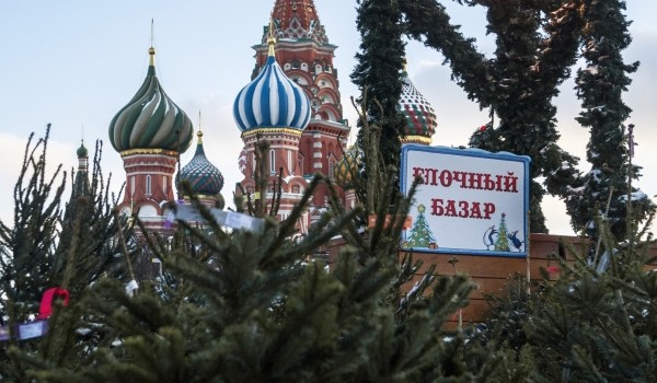 В период с 20 по 31 декабря в Москве откроются 183 елочных базара
