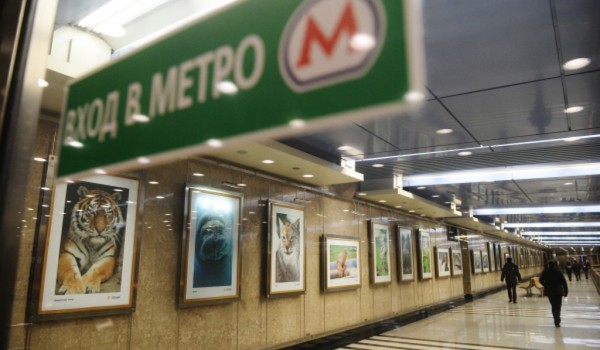 Техническая библиотека Московского метрополитена открылась на станции «Выставочная»