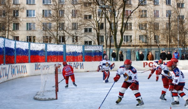 В поселении Щаповское «новой» Москвы планируется построить хоккейную площадку