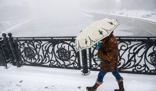 Москвичей в феврале ждет аномальная погода с ледяным дождем