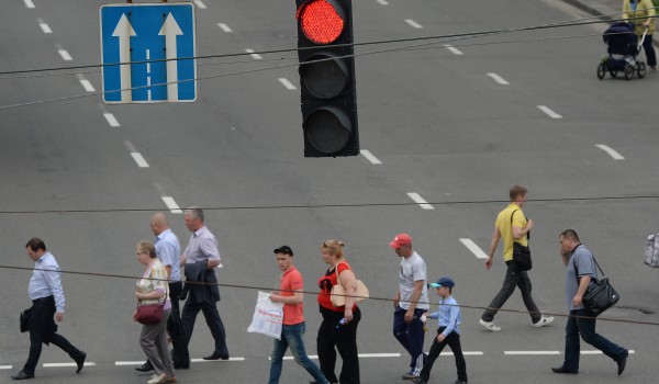 Порядка 40% разметки на дорогах в Москве будут наносить холодным пластиком в 2016 году