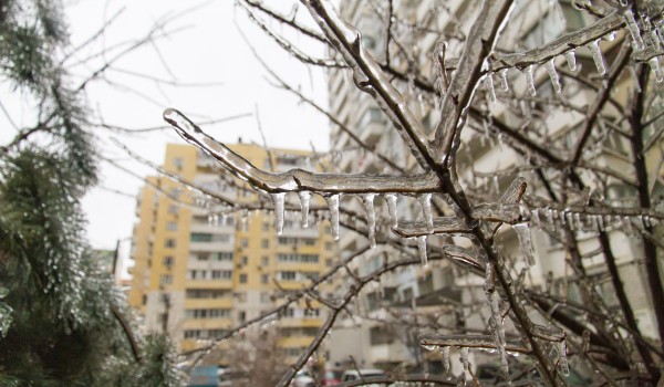 Заморозки ночью и плюсовые температуры днем ожидаются в Москве на этой неделе