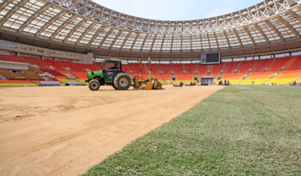 На футбольном поле стадиона «Лужники» в сентябре уложат газон