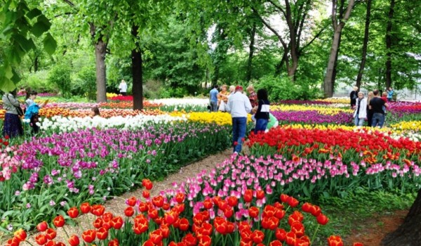 Ботанический сад МГУ "Аптекарский огород" объявляет новый набор волонтеров-дежурных в Садовый патруль