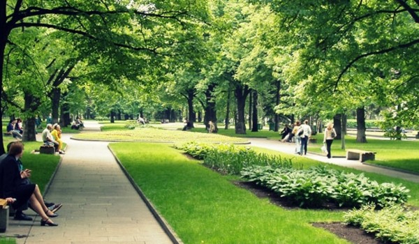 Городские власти выделят 500 млн рублей на обустройство Ходынского парка 
