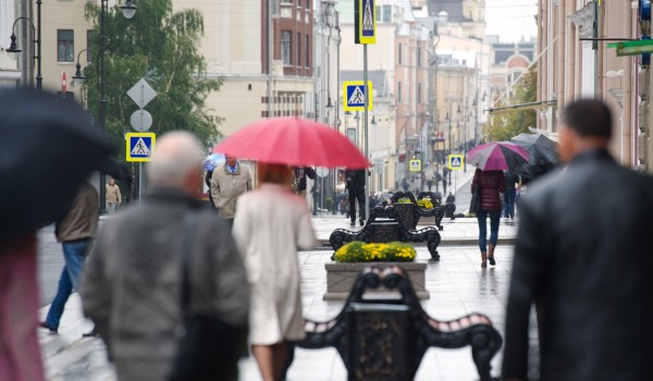 Облачная погода, дожди и до 19 градусов тепла ожидаются в Москве 19 мая