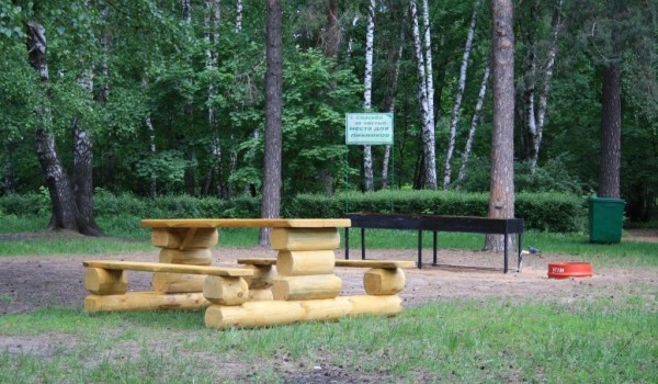 В Москве организовано 300 специально оборудованных пикниковых точек