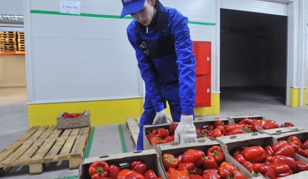 Волгоградская область поставляет в Москву более 25 тыс. тонн продовольствия в год 
