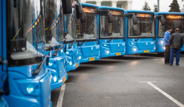 Городские перевозчики выведут на маршруты 344 дополнительных автобуса