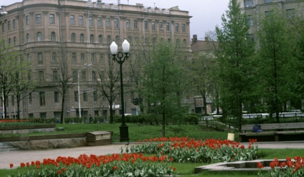 Москва закупит 100 сортов тюльпанов для весенних цветников 