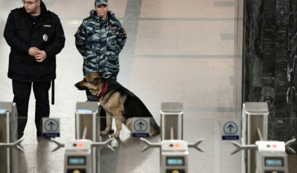 Сотрудники УВД на Московском метрополитене изъяли у мужчины пакет с боеприпасами
