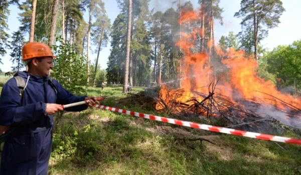 Более 10000 добровольцев обеспечивали пожарную безопасность москвичей в летний период