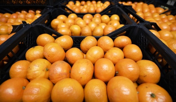 Основными поставщиками мандаринов в период Нового года станут 6 стран